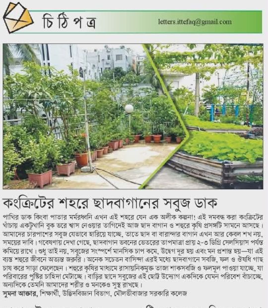কংক্রিটের শহরে ছাদ বাগানের সবুজ ডাক।
