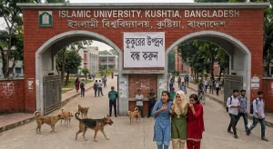 কুকুরের উপদ্রবে অতিষ্ঠ ইবি শিক্ষার্থীরা